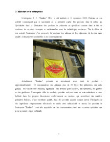 Rapport de Stage au SC Panilino SRL - Pagina 5