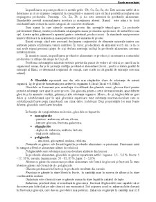 Bazele Merceologiei - Pagina 32