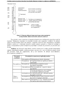 Bazele Merceologiei - Pagina 63