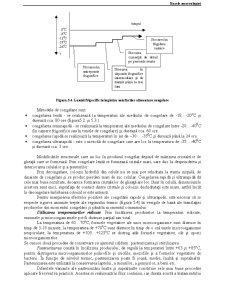 Bazele Merceologiei - Pagina 66