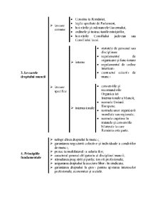Dreptul Muncii - Pagina 14