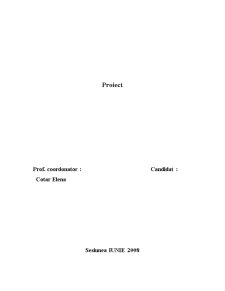 Politică de produs și contabilitatea produselor finite - Pagina 1