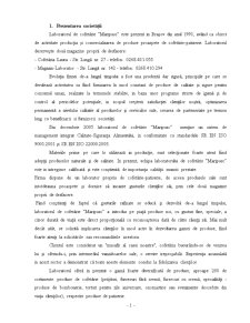 Analiza activității de producție a cofetăriei Maripusc, Brașov - Pagina 2