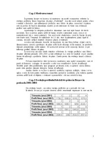 Evoluția Profitului Fabiricii de Pâine Postăvarul din Brașov în Perioada 2001-2004 - Pagina 3