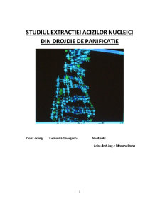 Studiul extracției acizilor nucleici din drojdie de panificație - Pagina 1