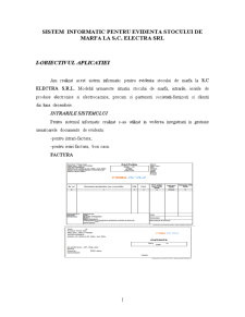 Sistem informatic pentru evidența stocului de marfă la SC Electra SRL - Pagina 2