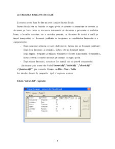 Sistem informatic pentru evidența stocului de marfă la SC Electra SRL - Pagina 5