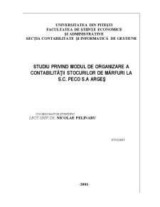 Studiu privind modul de organizare a contabilității stocurilor de mărfuri la SC Peco SA Argeș - Pagina 1