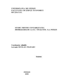 Studiu privind contabilitatea imobilizărilor la SC Vinalcool SA Pitești - Pagina 1
