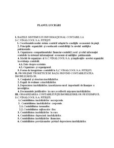 Studiu privind contabilitatea imobilizărilor la SC Vinalcool SA Pitești - Pagina 2
