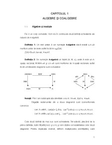 Algebre Hopf - Module Hopf și Integrale - Pagina 3