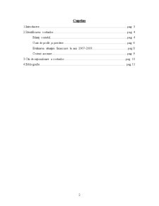 Analiza Costurilor la Întreprinderea SC Mercur SA - Pagina 2