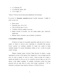 Biogazul - Pagina 3