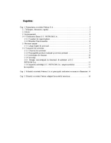 Principalii indicatori economici firma Petrom - Pagina 2