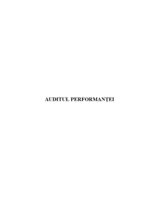 Auditul Performanței - Pagina 1