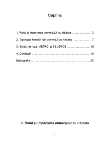 Analiza și Evaluarea Caracteristicilor Firmelor din Comerțul cu Ridicata - Pagina 2