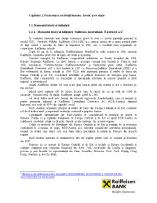 Studiu monografic Raiffeisen Bank, Agenția Mircea cel Bătrân, Iași - Pagina 4