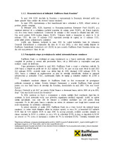 Studiu monografic Raiffeisen Bank, Agenția Mircea cel Bătrân, Iași - Pagina 5