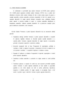 Fundamentarea și finanțarea cheltuielilor bugetare la Direcția Sanitară Veterinară și pentru Siguranța Alimentelor Iași - Pagina 3