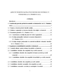 Aspecte teoretice și practice privind decontările cu furnizorii la SC Pinminox SRL - Pagina 3