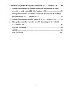 Aspecte teoretice și practice privind decontările cu furnizorii la SC Pinminox SRL - Pagina 4