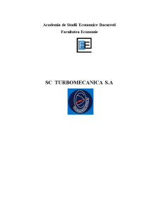 Plan Afaceri Turbomecanica - Pagina 1