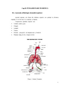 Aspecte ale recuperării kinetice la bolnavii cu disfuncții respiratorii obstructive - Pagina 4