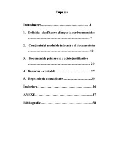 Documentația - element al metodei contabilității - Pagina 1