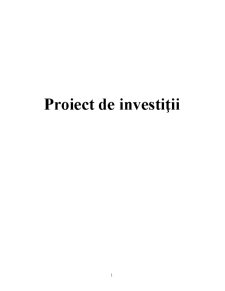 Proiect de Investiții - Pagina 1
