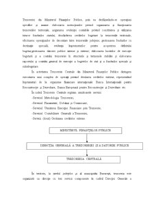 Implicarea Trezoreriei Statului în Procesul Bugetar în România - Pagina 5