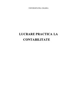 Lucrare practică la contabilitate - SC Gutai SRL - Pagina 1