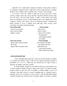 Studiu de Caz SC REAL Brașov - Pagina 4