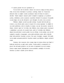 Comportamentul consumatorului de zahăr vanilinat Coseli - Pagina 5