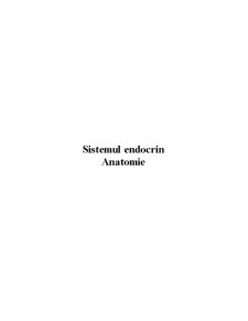 Sistemul Endocrin - Anatomie - Pagina 1