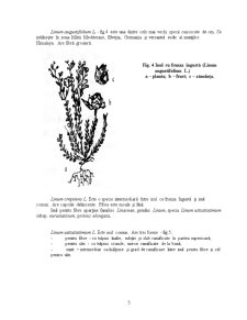 Tehnologia de Cultivare a Inului pentru Fibre, pe un Sol Cernoziom Tipic, Avand ca Planta Premergatoare Graul de Toamna - Pagina 5
