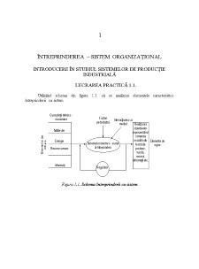 Sisteme de organizare a întreprinderii - Pagina 1