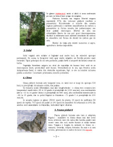 Mediul Pădurilor Boreale - Pagina 5