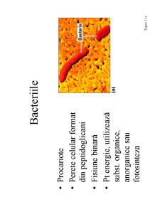 Microbiologie generală - curs 1 - Pagina 10