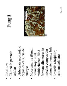 Microbiologie generală - curs 1 - Pagina 12