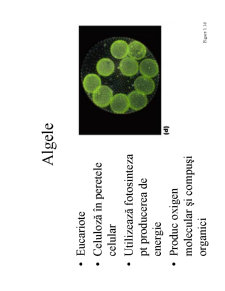 Microbiologie generală - curs 1 - Pagina 14