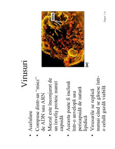 Microbiologie generală - curs 1 - Pagina 15