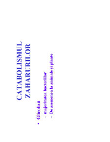Microbiologie generală - curs 3 - Pagina 16