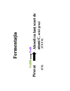 Microbiologie generală - curs 3 - Pagina 19