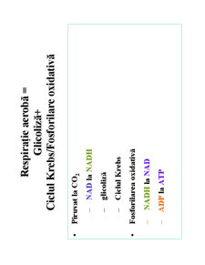 Microbiologie generală - curs 3 - Pagina 22