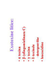 Microbiologie generală - curs 5 - Pagina 11