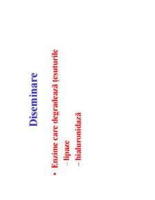 Microbiologie generală - curs 5 - Pagina 13