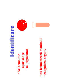 Microbiologie generală - curs 5 - Pagina 16