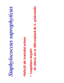 Microbiologie generală - curs 5 - Pagina 17