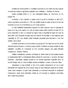 Analiza Costurilor de Productie si Caile lor de Reducere la SC Stiro SA - Slatina - Pagina 4