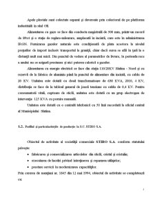 Analiza Costurilor de Productie si Caile lor de Reducere la SC Stiro SA - Slatina - Pagina 5